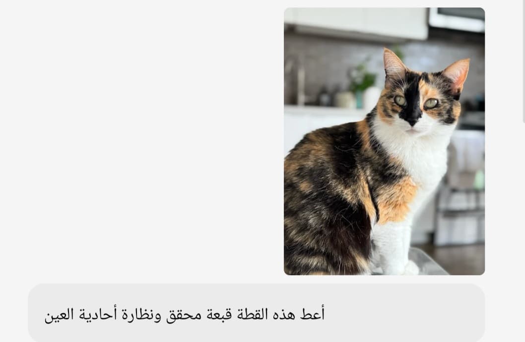 لقطة شاشة: قطة مع مطالبة لنموذج 4o لجعلها ترتدي قبعة ونظارة